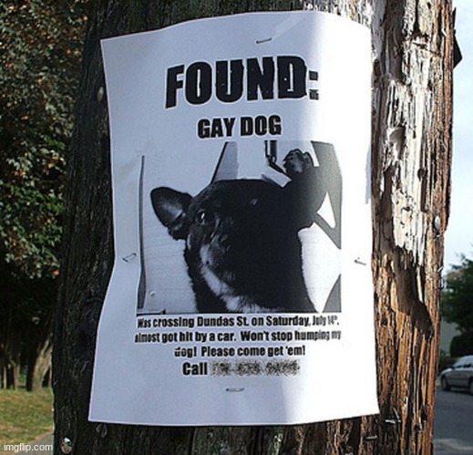 shitpost | made w/ Imgflip meme maker