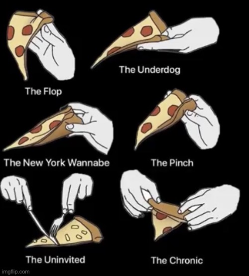 Pizza holder types | image tagged in pizza,memes,pizza time | made w/ Imgflip meme maker