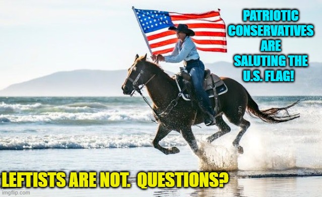 Just a reminder. | PATRIOTIC CONSERVATIVES ARE SALUTING THE U.S. FLAG! LEFTISTS ARE NOT.  QUESTIONS? | image tagged in truth | made w/ Imgflip meme maker