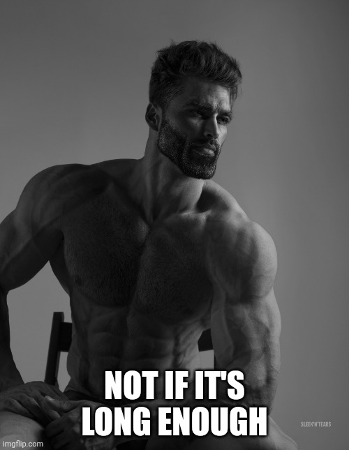 Giga Chad | NOT IF IT'S LONG ENOUGH | image tagged in giga chad | made w/ Imgflip meme maker