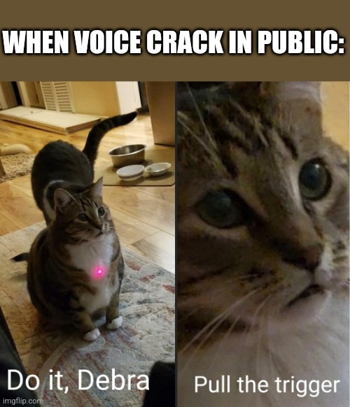 do it debra, pull the trigger | WHEN VOICE CRACK IN PUBLIC: | image tagged in do it debra pull the trigger | made w/ Imgflip meme maker