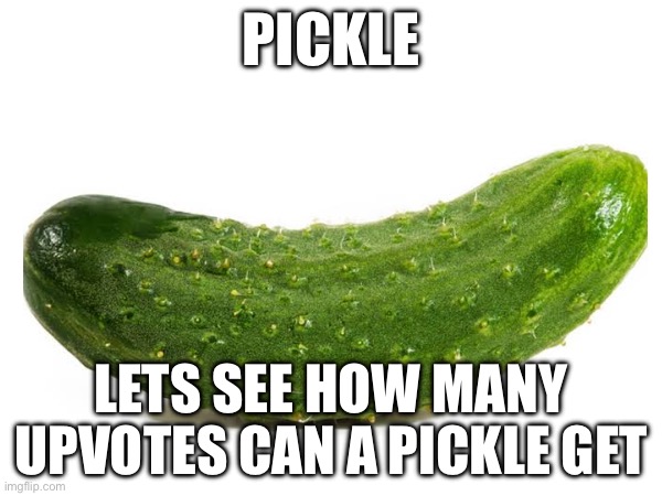  PICKLE; LETS SEE HOW MANY UPVOTES CAN A PICKLE GET | image tagged in vegetarian | made w/ Imgflip meme maker