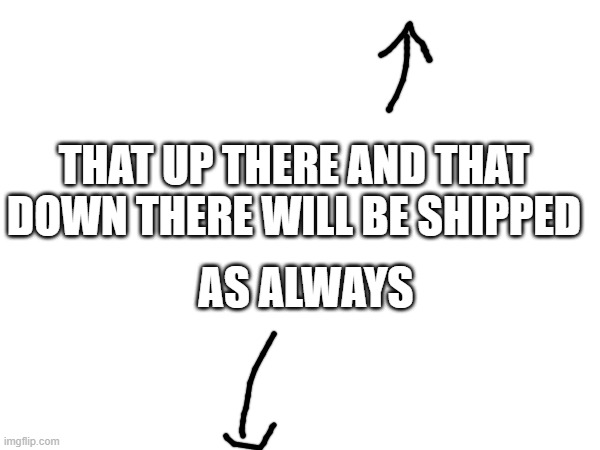 the usernames will also be shipped | THAT UP THERE AND THAT DOWN THERE WILL BE SHIPPED; AS ALWAYS | made w/ Imgflip meme maker