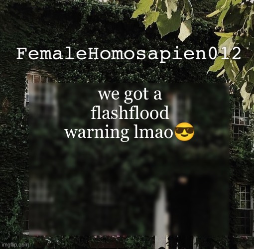 FemaleHomosapien012 | we got a flashflood warning lmao😎 | image tagged in femalehomosapien012 | made w/ Imgflip meme maker