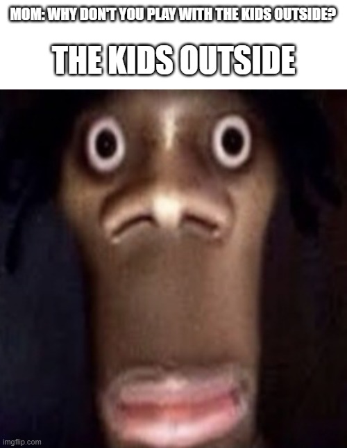 Quandale dingle | MOM: WHY DON'T YOU PLAY WITH THE KIDS OUTSIDE? THE KIDS OUTSIDE | image tagged in memes,funny,neighbors,weird | made w/ Imgflip meme maker