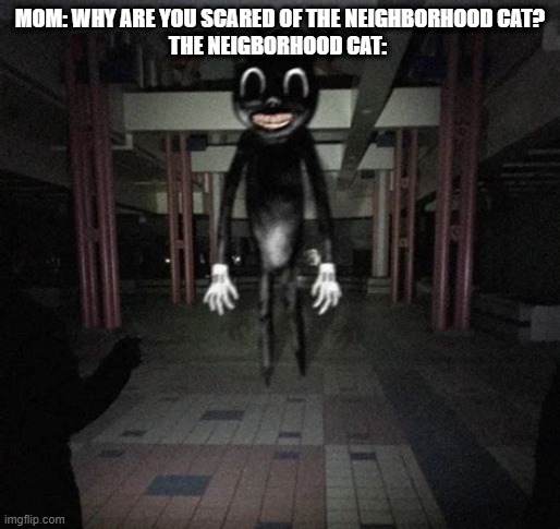 Cartoon cat | MOM: WHY ARE YOU SCARED OF THE NEIGHBORHOOD CAT? THE NEIGBORHOOD CAT: | image tagged in cartoon cat,memes,funny,patrick mom come pick me up i'm scared,cats | made w/ Imgflip meme maker