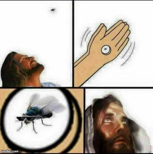 image tagged in jesus,mosquito,hole | made w/ Imgflip meme maker