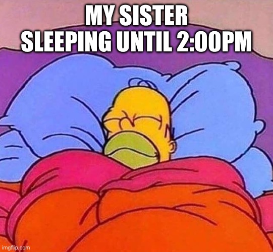 She always does that | MY SISTER SLEEPING UNTIL 2:00PM | image tagged in homer simpson sleeping peacefully | made w/ Imgflip meme maker