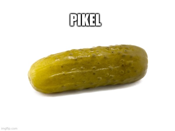 Pikel | PIKEL | image tagged in pickles,dumb | made w/ Imgflip meme maker