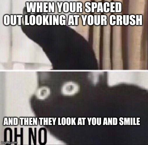 Oh no cat | WHEN YOUR SPACED OUT LOOKING AT YOUR CRUSH; AND THEN THEY LOOK AT YOU AND SMILE | image tagged in oh no cat | made w/ Imgflip meme maker