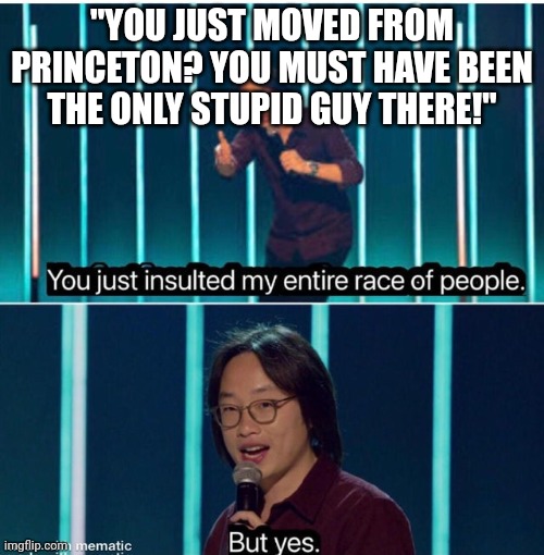 Hmmmmmmmm | "YOU JUST MOVED FROM PRINCETON? YOU MUST HAVE BEEN THE ONLY STUPID GUY THERE!" | image tagged in you just insulted my entire race of people | made w/ Imgflip meme maker