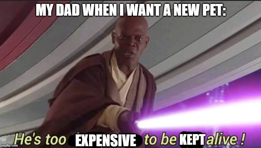 new pet | MY DAD WHEN I WANT A NEW PET:; EXPENSIVE; KEPT | image tagged in he s too dangerous to be left alive | made w/ Imgflip meme maker