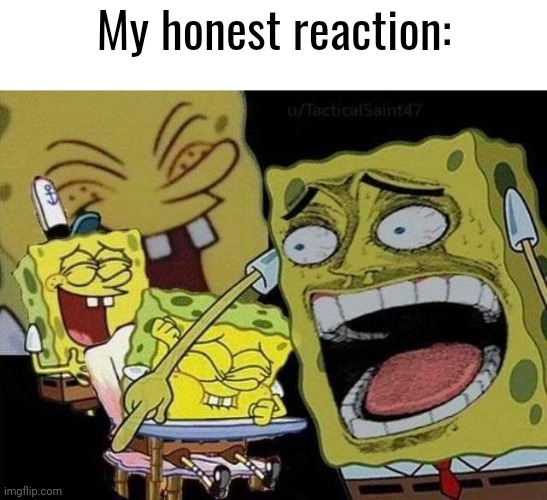 Spongebob laughing | My honest reaction: | image tagged in spongebob laughing | made w/ Imgflip meme maker