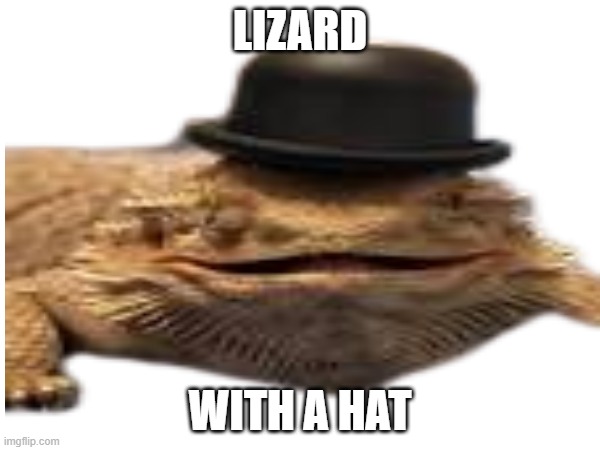 Lizard with a hat | LIZARD; WITH A HAT | image tagged in lizard | made w/ Imgflip meme maker