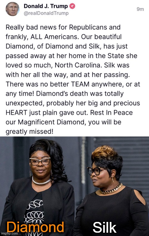 SAD News! Great Lady & Huge Loss! | Silk; Diamond | image tagged in politics,diamond,death,rip,so sad,donald trump | made w/ Imgflip meme maker