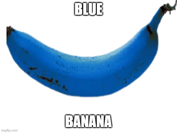 blue banana | BLUE; BANANA | image tagged in blue,banana | made w/ Imgflip meme maker
