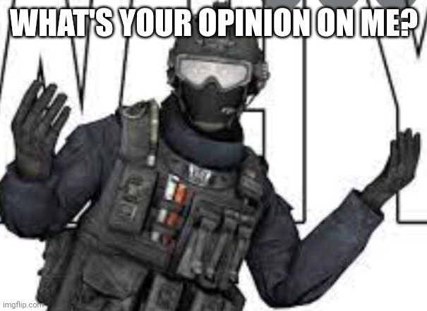 Opinion | WHAT'S YOUR OPINION ON ME? | image tagged in russian badger | made w/ Imgflip meme maker