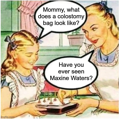 Maxi Bag | Mommy, what does a colostomy bag look like? Have you ever seen Maxine Waters? | image tagged in mommy what is blank,colostomy bag,maxine waters,ugly woman,troglodyte | made w/ Imgflip meme maker