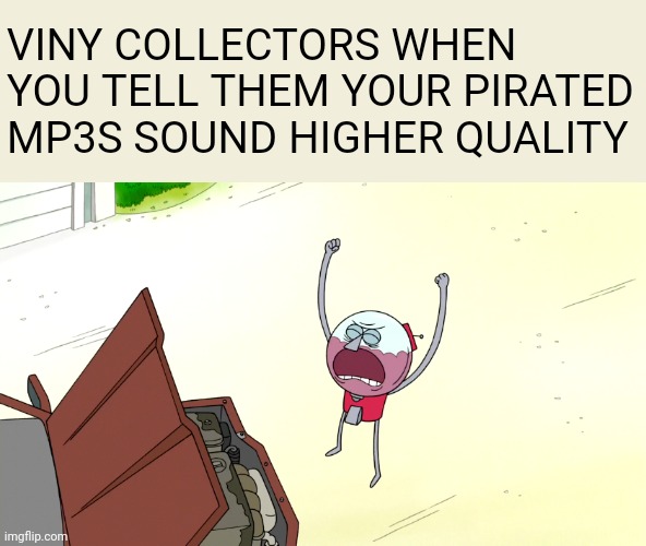 It's true | VINY COLLECTORS WHEN YOU TELL THEM YOUR PIRATED MP3S SOUND HIGHER QUALITY | image tagged in music | made w/ Imgflip meme maker