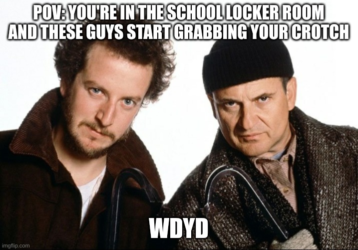 basically the role play stream in a nutshell | POV: YOU'RE IN THE SCHOOL LOCKER ROOM AND THESE GUYS START GRABBING YOUR CROTCH; WDYD | image tagged in marv and harry | made w/ Imgflip meme maker