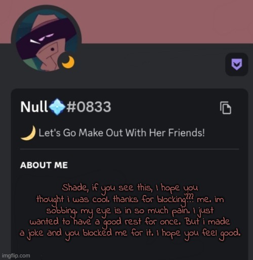 Shade, if you see this, I hope you thought i was cool. thanks for blocking??? me. im sobbing. my eye is in so much pain. I just wanted to have a good rest for once. But i made a joke and you blocked me for it. I hope you feel good. | made w/ Imgflip meme maker