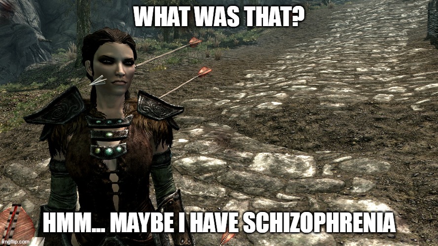  WHAT WAS THAT? HMM... MAYBE I HAVE SCHIZOPHRENIA | image tagged in skyrim,schizophrenia | made w/ Imgflip meme maker