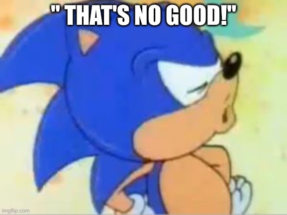 sonic that's no good | " THAT'S NO GOOD!" | image tagged in sonic that's no good | made w/ Imgflip meme maker