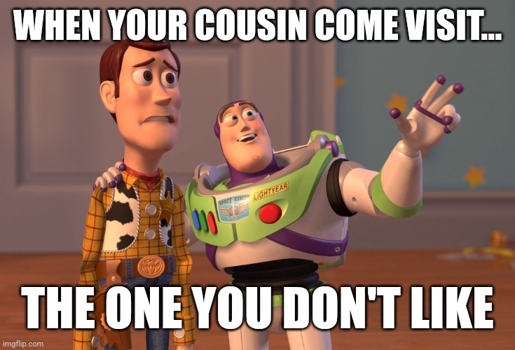 Comedy | WHEN YOUR COUSIN COME VISIT... THE ONE YOU DON'T LIKE | image tagged in memes,x x everywhere | made w/ Imgflip meme maker