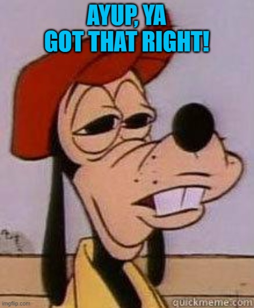 Stoned goofy | AYUP, YA GOT THAT RIGHT! | image tagged in stoned goofy | made w/ Imgflip meme maker