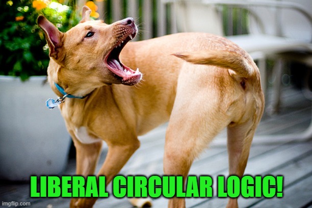 Dog chasing tail | LIBERAL CIRCULAR LOGIC! | image tagged in dog chasing tail | made w/ Imgflip meme maker