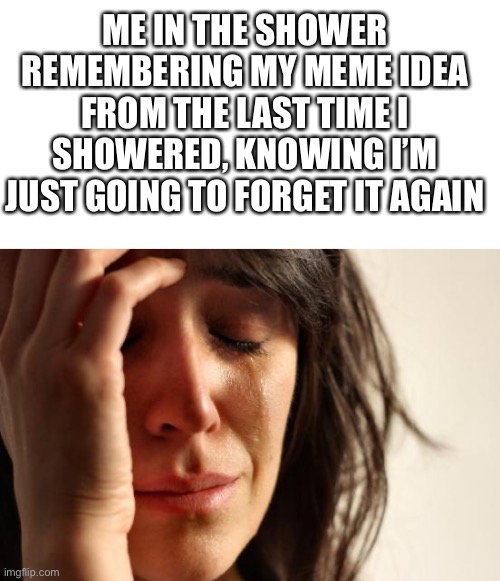 First World Problems | ME IN THE SHOWER REMEMBERING MY MEME IDEA FROM THE LAST TIME I SHOWERED, KNOWING I’M JUST GOING TO FORGET IT AGAIN | image tagged in memes,first world problems | made w/ Imgflip meme maker