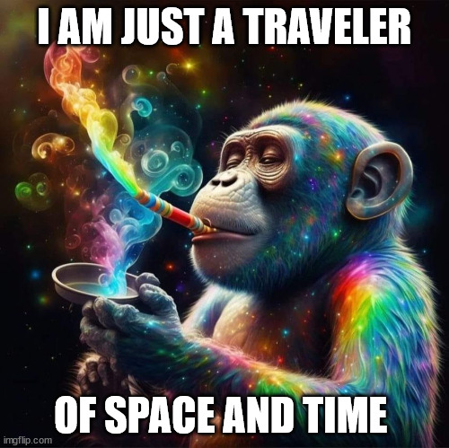 The monkey | I AM JUST A TRAVELER; OF SPACE AND TIME | image tagged in magic | made w/ Imgflip meme maker