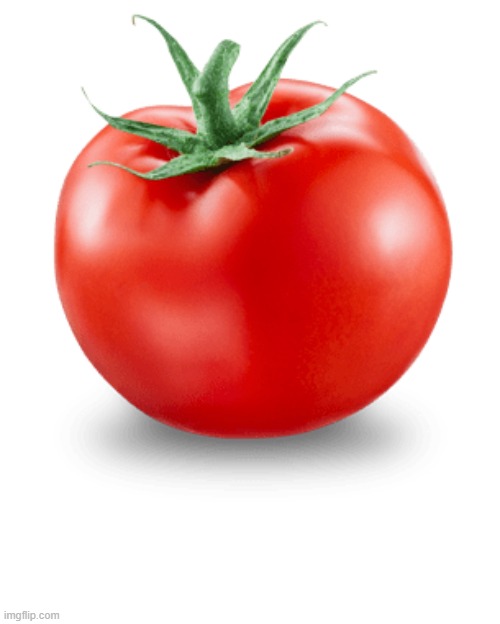 Tomato | image tagged in memes | made w/ Imgflip meme maker