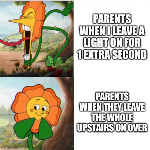 Lights am I right | PARENTS WHEN I LEAVE A LIGHT ON FOR 1 EXTRA SECOND; PARENTS WHEN THEY LEAVE THE WHOLE UPSTAIRS ON OVERNIGHT | image tagged in cuphead flower | made w/ Imgflip meme maker