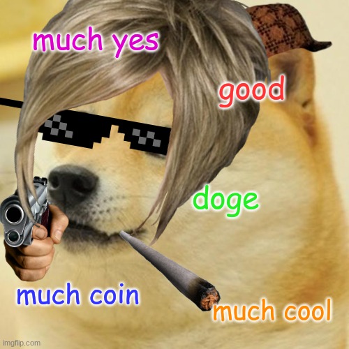much yes; good; doge; much coin; much cool | image tagged in thug life,karen,gangsta,doge | made w/ Imgflip meme maker