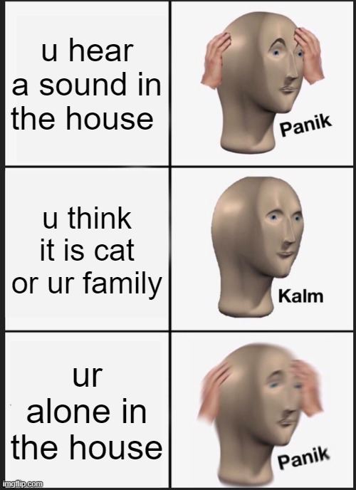 oh... no... | u hear a sound in the house; u think it is cat or ur family; ur alone in the house | image tagged in memes,panik kalm panik | made w/ Imgflip meme maker