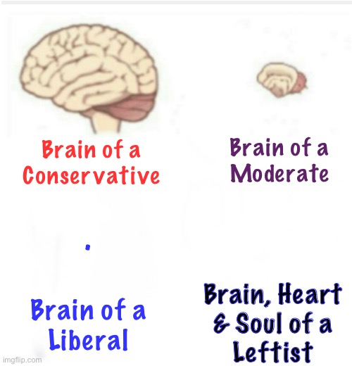 Nobody doesn’t understand this | Brain of a
Moderate; Brain of a
Conservative; . Brain, Heart
& Soul of a
Leftist; Brain of a
Liberal | image tagged in memes,freekin leftists r godless evil creatures,u can all kissmyass,satanic liars,esp proud fjb voters | made w/ Imgflip meme maker