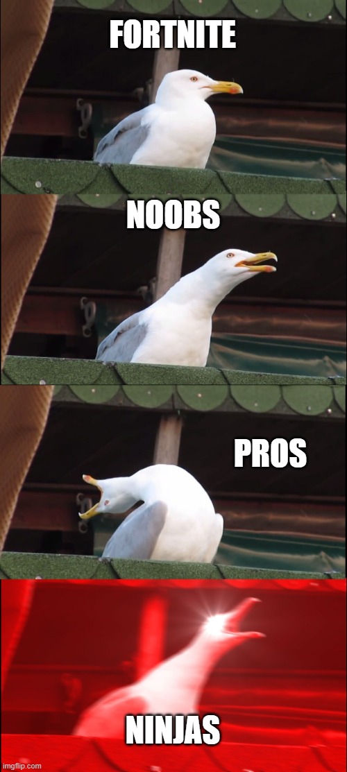 fortnite players | FORTNITE; NOOBS; PROS; NINJAS | image tagged in memes,inhaling seagull | made w/ Imgflip meme maker