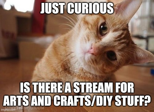 Curious Question Cat | JUST CURIOUS; IS THERE A STREAM FOR ARTS AND CRAFTS/DIY STUFF? | image tagged in curious question cat | made w/ Imgflip meme maker