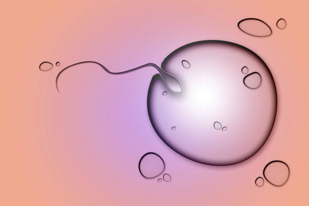 Fertilization Blank Meme Template
