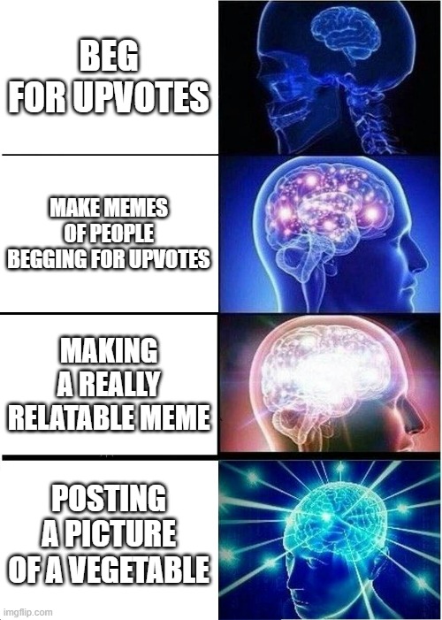 Ways to get Upvotes | BEG FOR UPVOTES; MAKE MEMES OF PEOPLE BEGGING FOR UPVOTES; MAKING A REALLY RELATABLE MEME; POSTING A PICTURE OF A VEGETABLE | image tagged in memes,expanding brain | made w/ Imgflip meme maker