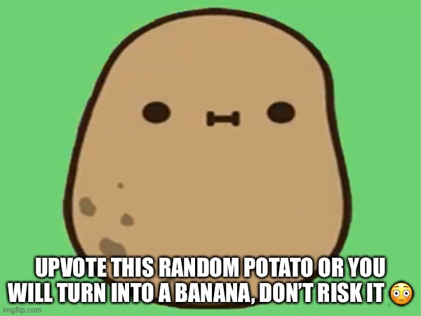 epic potato | UPVOTE THIS RANDOM POTATO OR YOU WILL TURN INTO A BANANA, DON’T RISK IT 😳 | image tagged in potato,epic,much wow | made w/ Imgflip meme maker