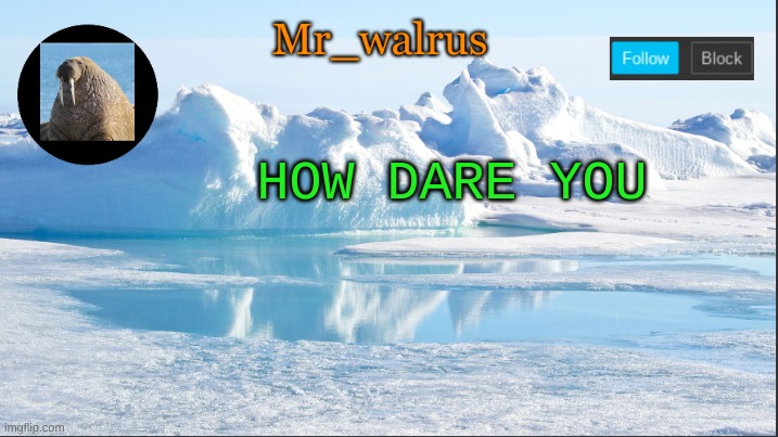 Mr_walrus | HOW DARE YOU | image tagged in mr_walrus | made w/ Imgflip meme maker