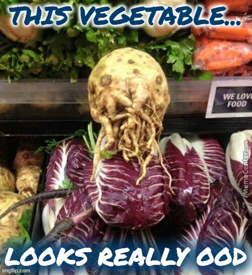 Whovians will get this... | THIS VEGETABLE... LOOKS REALLY OOD | image tagged in doctor who,vegetables | made w/ Imgflip meme maker