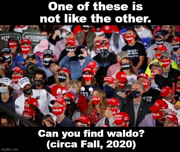 When you see it.... | One of these is not like the other. Can you find waldo?
(circa Fall, 2020) | image tagged in when you see it,yooo,ayyy lmao,maga,rally,cesspool | made w/ Imgflip meme maker