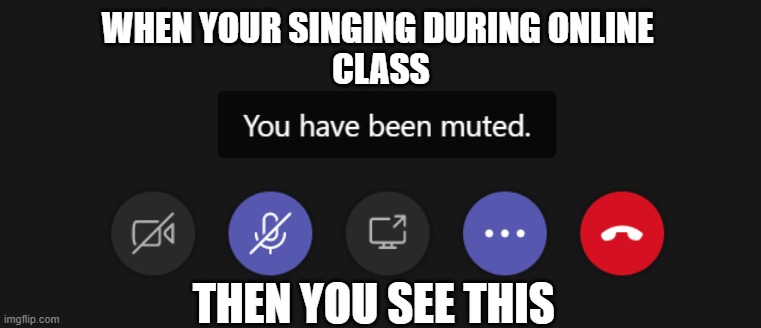 rip my dignigity | WHEN YOUR SINGING DURING ONLINE 
CLASS; THEN YOU SEE THIS | image tagged in online school | made w/ Imgflip meme maker