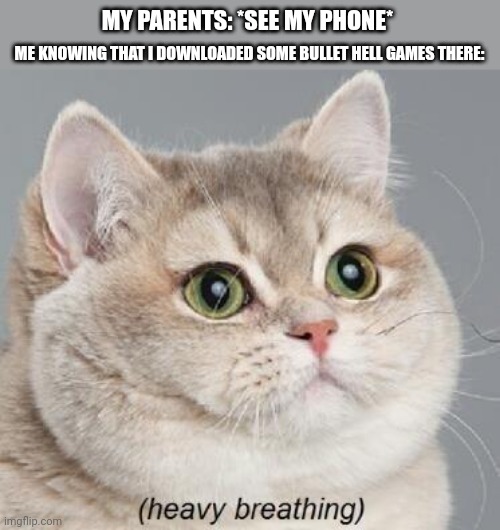 Heavy Breathing Cat | MY PARENTS: *SEE MY PHONE*; ME KNOWING THAT I DOWNLOADED SOME BULLET HELL GAMES THERE: | image tagged in memes,play,games | made w/ Imgflip meme maker