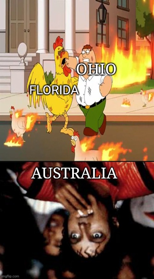 Should I try to make some Australia memes? | OHIO; FLORIDA; AUSTRALIA | image tagged in family guy - fight,australia,ohio,florida,fighting,michael jackson popcorn | made w/ Imgflip meme maker