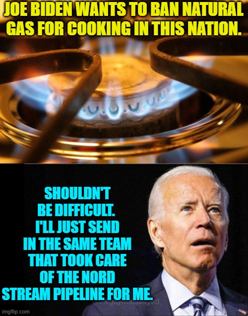 Never let a crack team of saboteurs go to waste. | JOE BIDEN WANTS TO BAN NATURAL GAS FOR COOKING IN THIS NATION. SHOULDN'T BE DIFFICULT.  I'LL JUST SEND IN THE SAME TEAM THAT TOOK CARE OF THE NORD STREAM PIPELINE FOR ME. | image tagged in pipe line | made w/ Imgflip meme maker