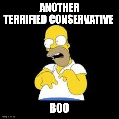 Look Marge | ANOTHER TERRIFIED CONSERVATIVE BOO | image tagged in look marge | made w/ Imgflip meme maker